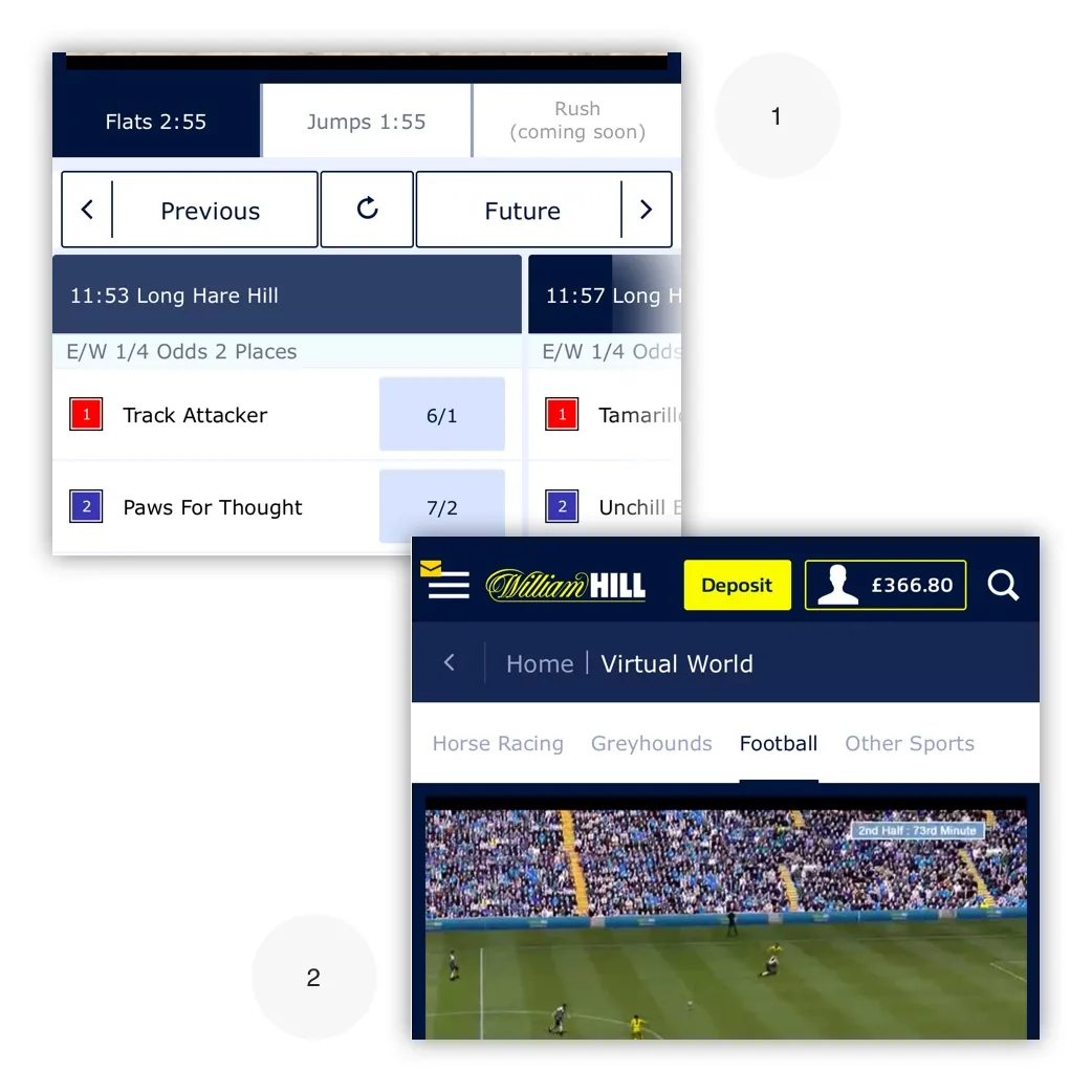 Spotlight of User Feedback